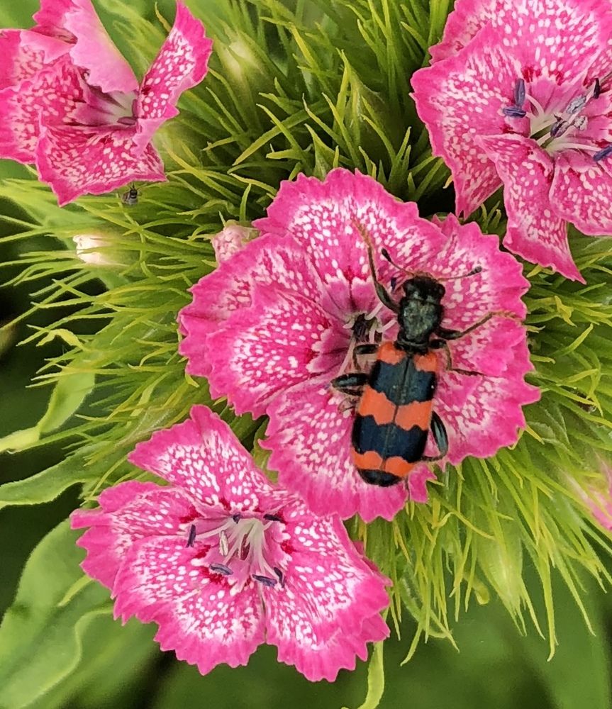 Photograph by Марина Георгиева