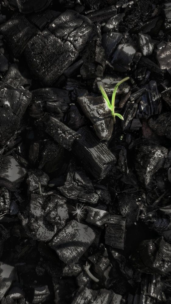 Photograph by Виктория Голубь