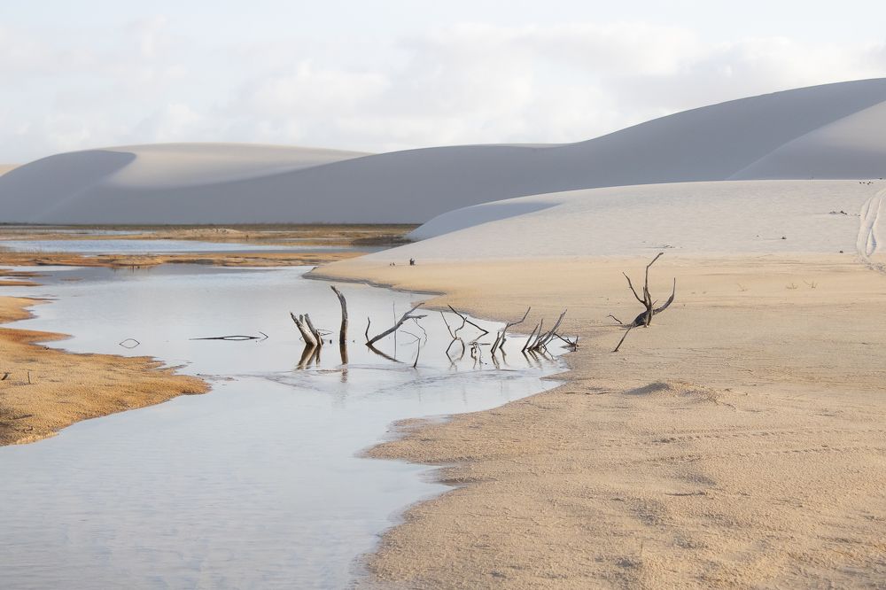 Photograph by Bruna Pinto Pereira