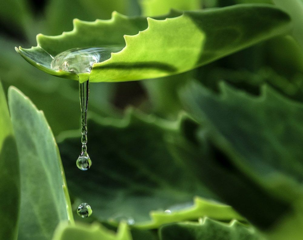 Photograph by Виктор Рыков