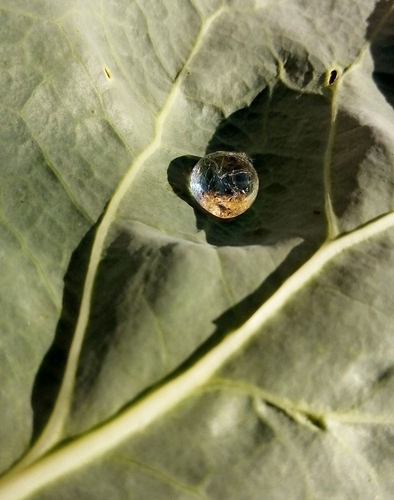 Photograph by Наталья Дубовкина