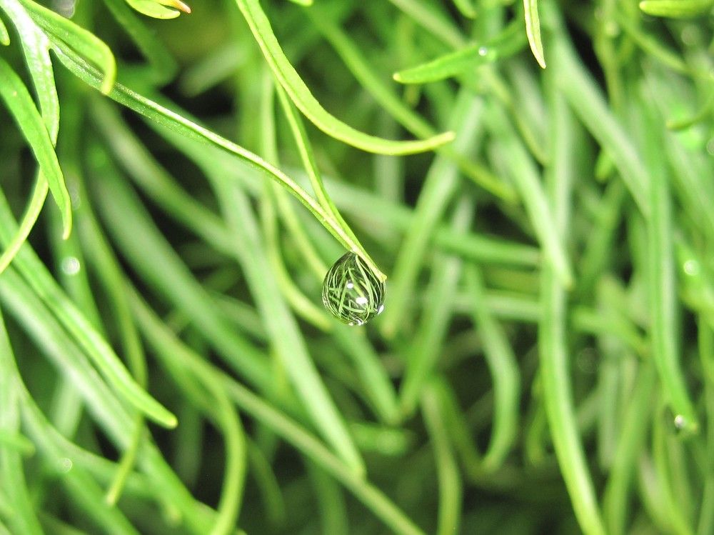 Photograph by Наталья Дубовкина