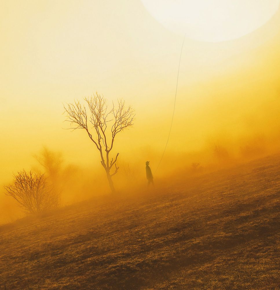 Photograph by Буданова Мария