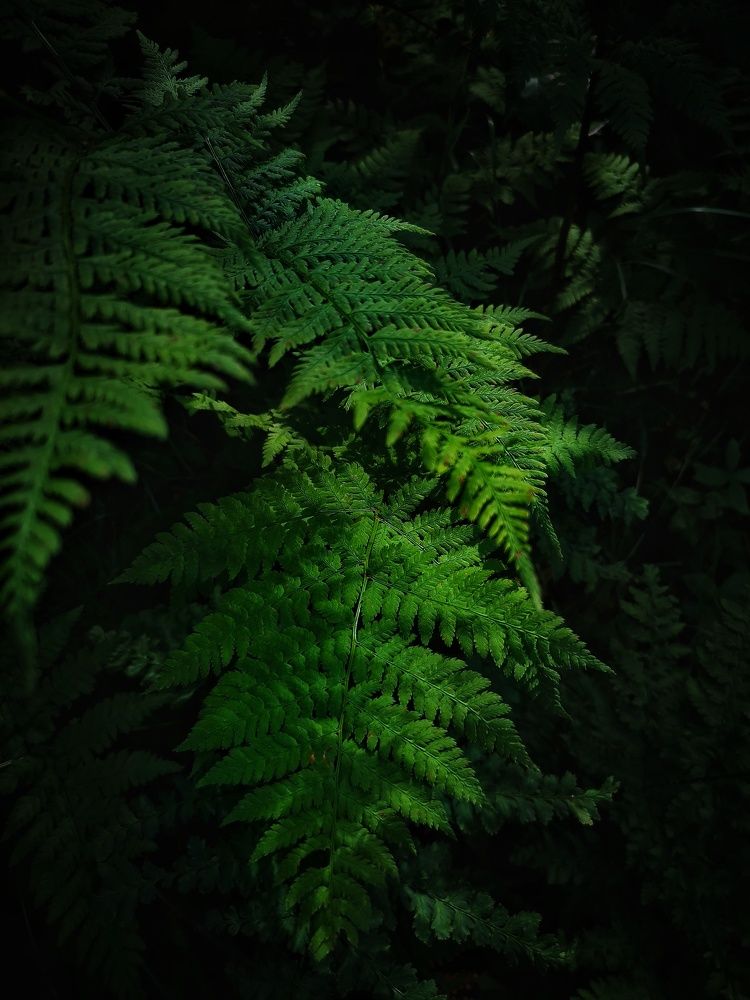 Photograph by Елена Артёменко