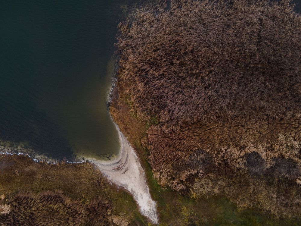 Photograph by Дмитрий Сдобин