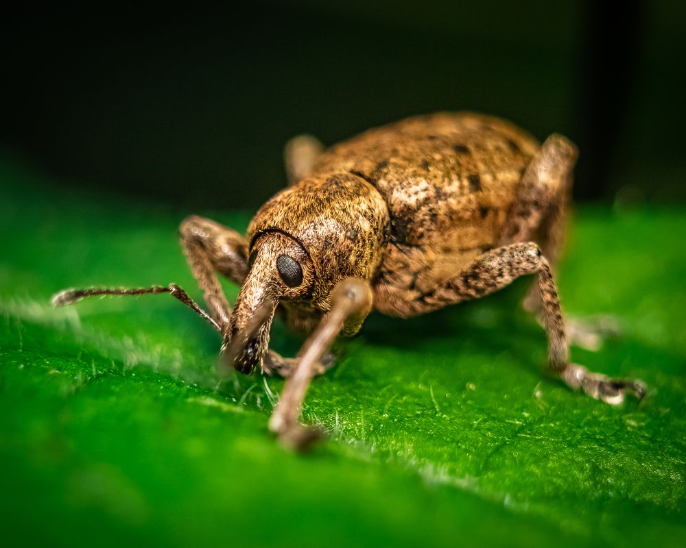 Photograph by Patryk George