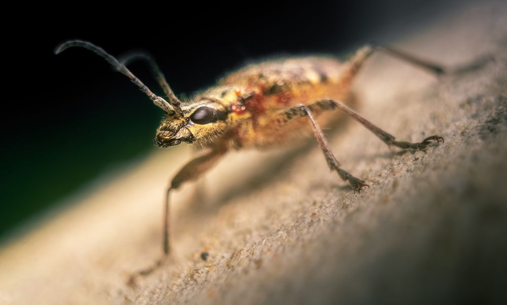 Photograph by Patryk George