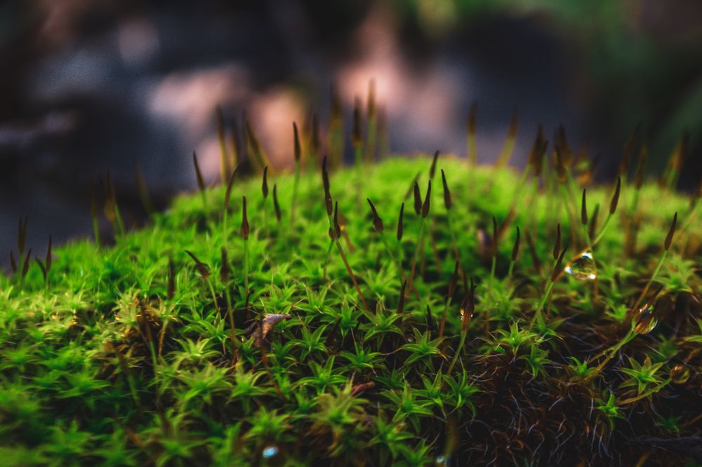 Фотография автора Артур Зюзин