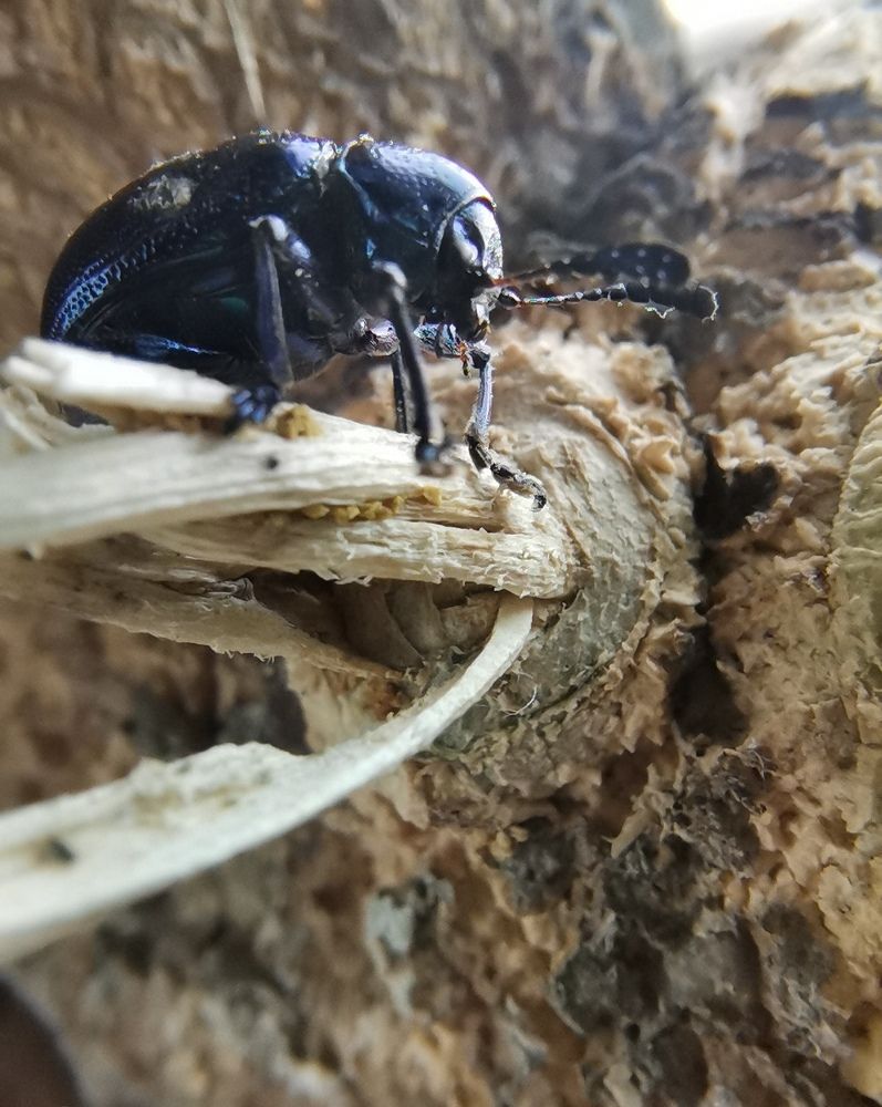 Photograph by Anil Yadav