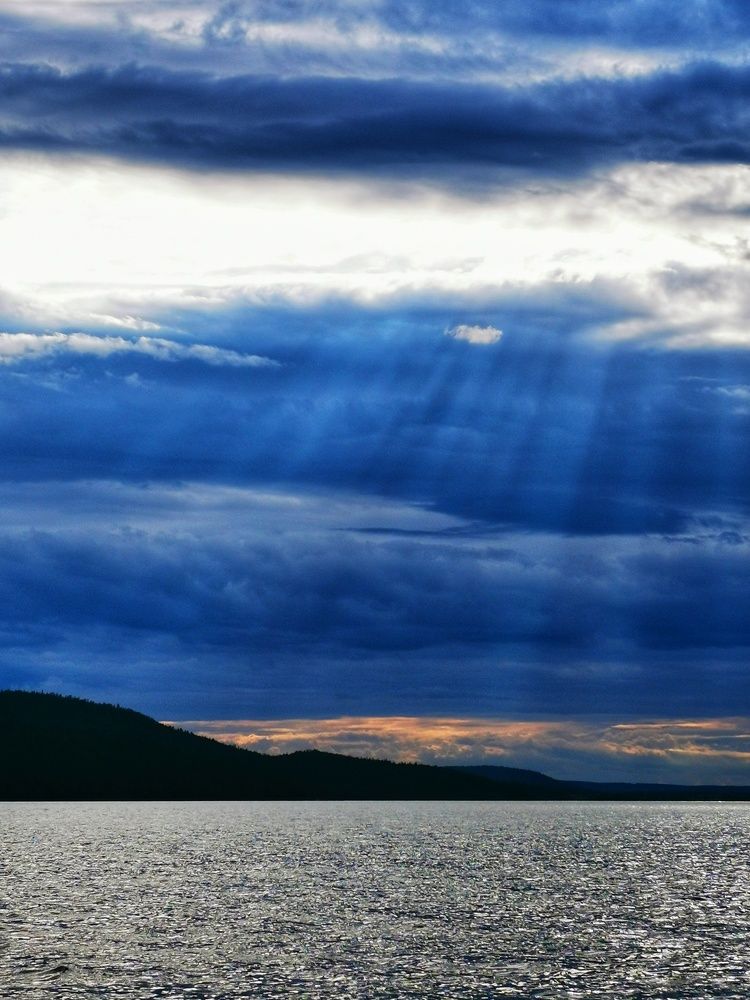 Photograph by Настя Хомастя