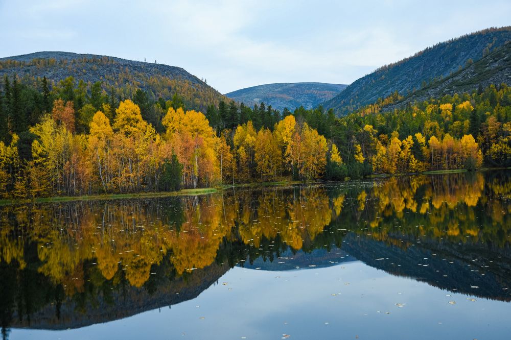 Photograph by Михаил Назаров