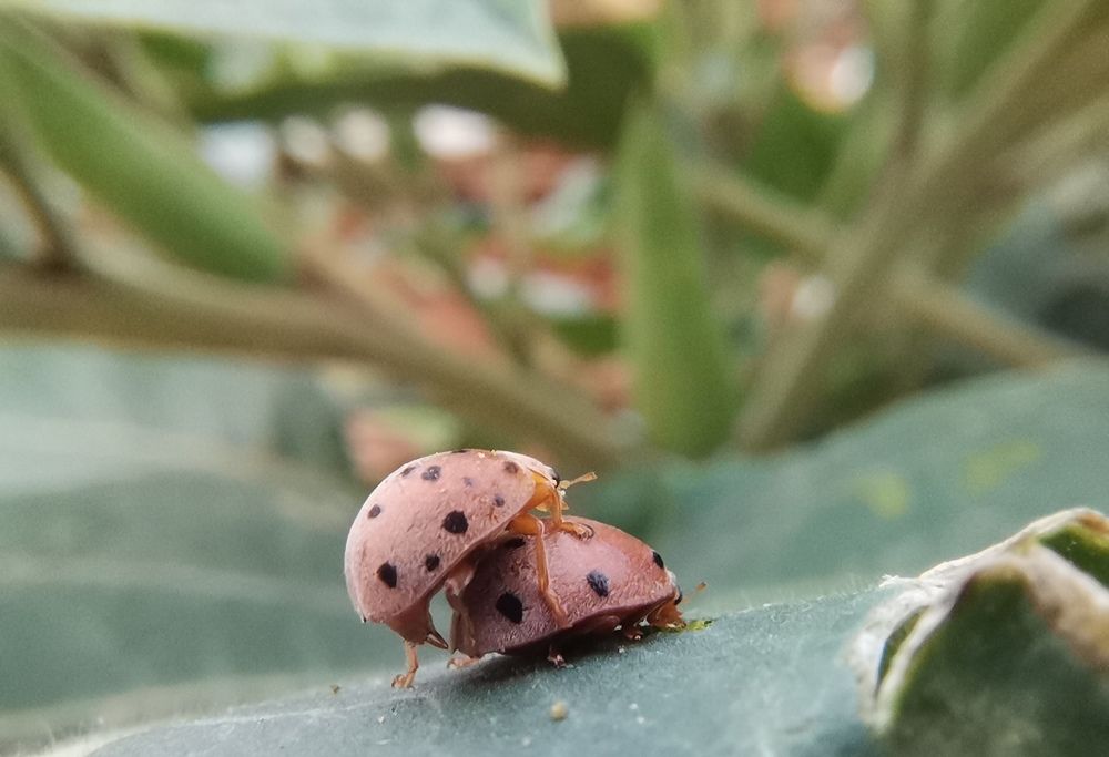 Photograph by Anil Yadav