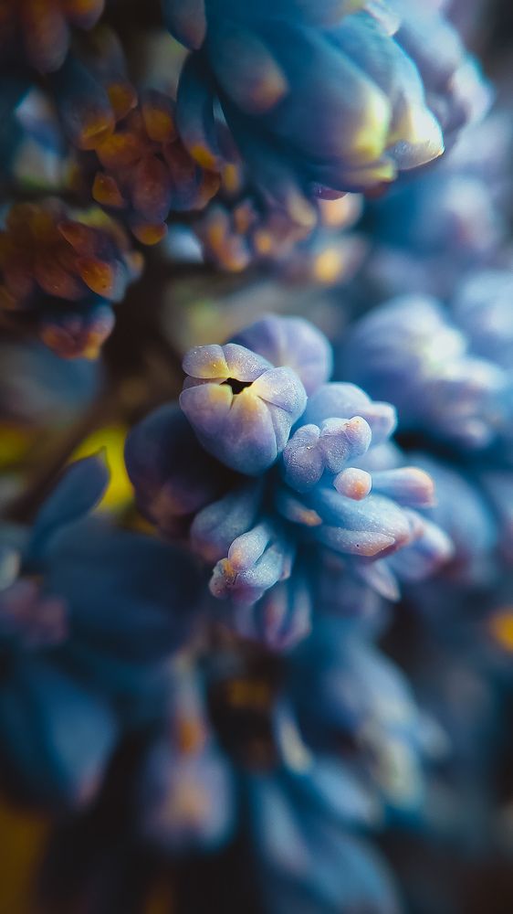 Photograph by Ирина Панкова