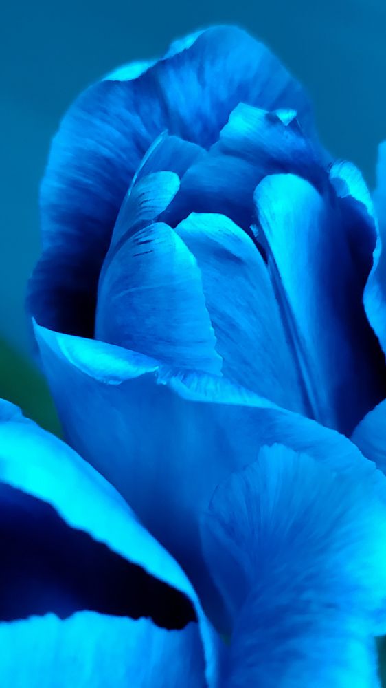 Photograph by Ирина Панкова