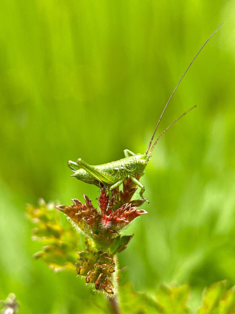 Photograph by Александра Гонтарь