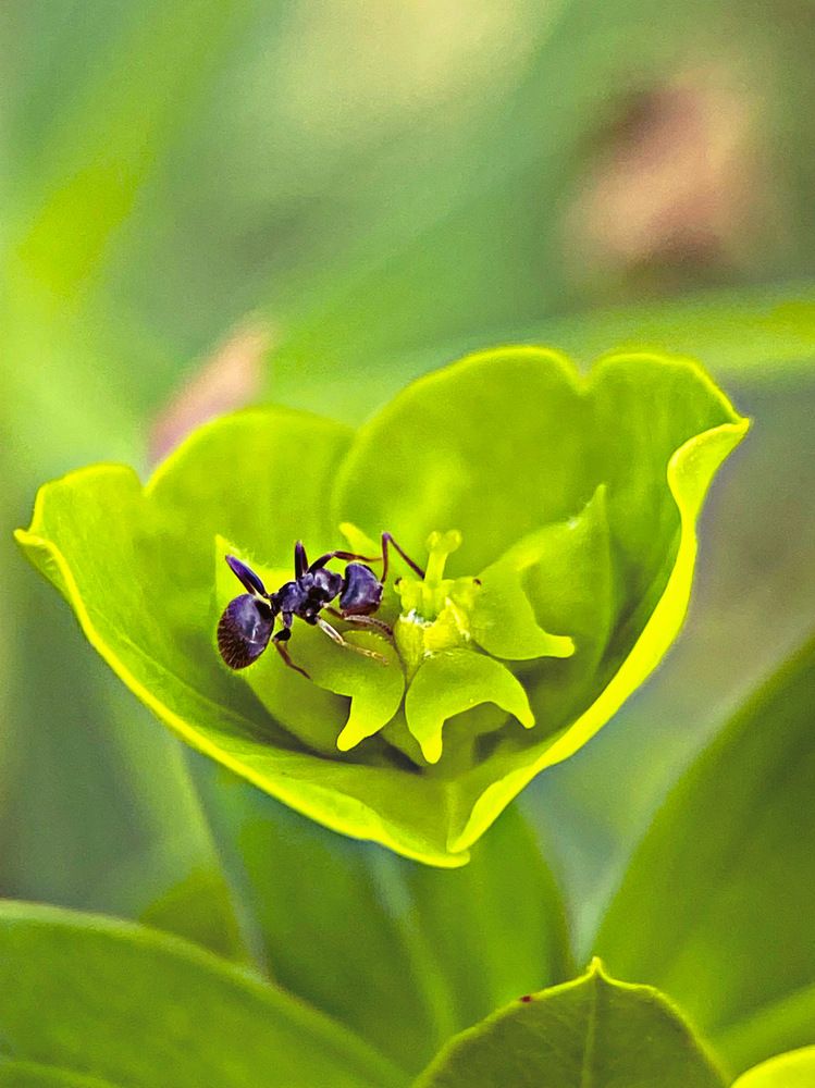 Photograph by Александра Гонтарь