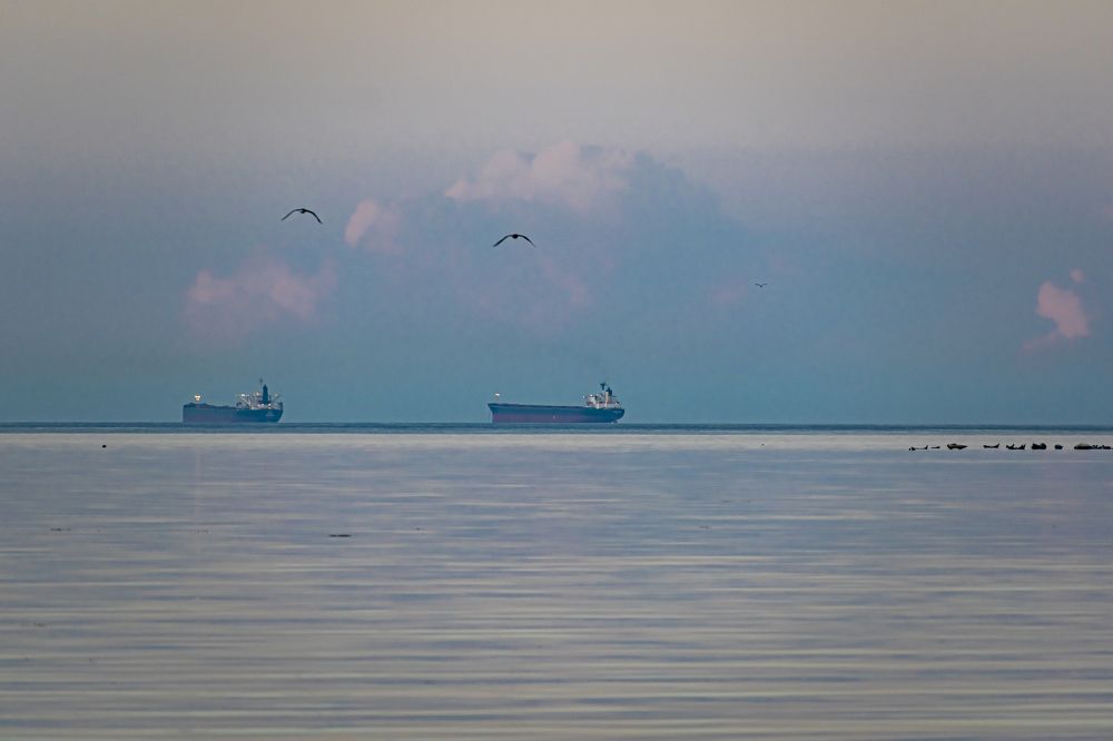 Photograph by 