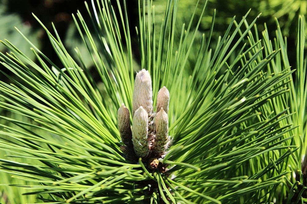 Photograph by Carol Taylor