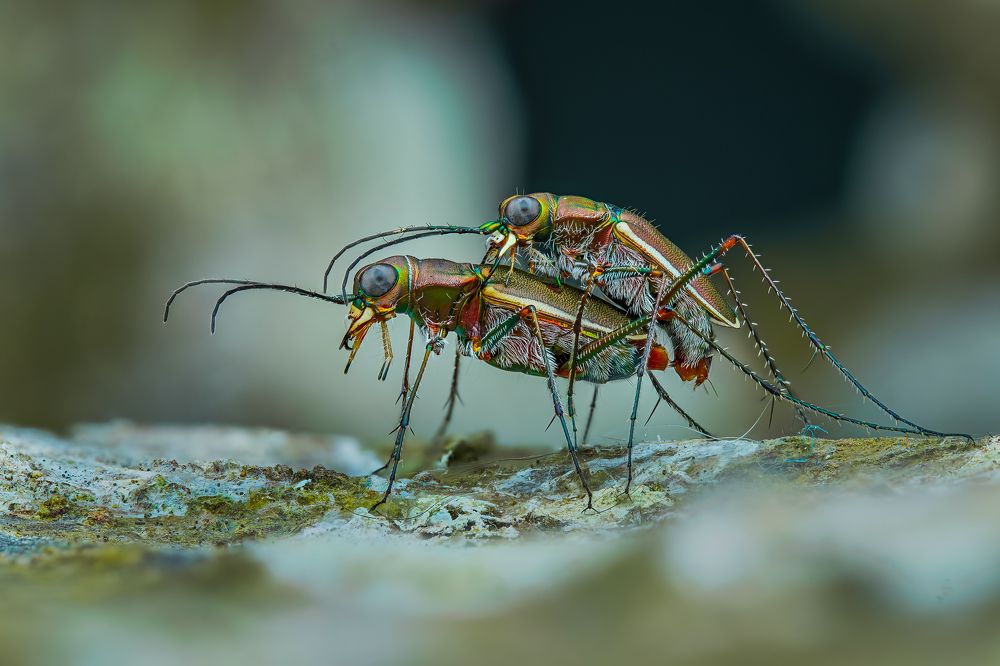 Photograph by Ngọc Trần