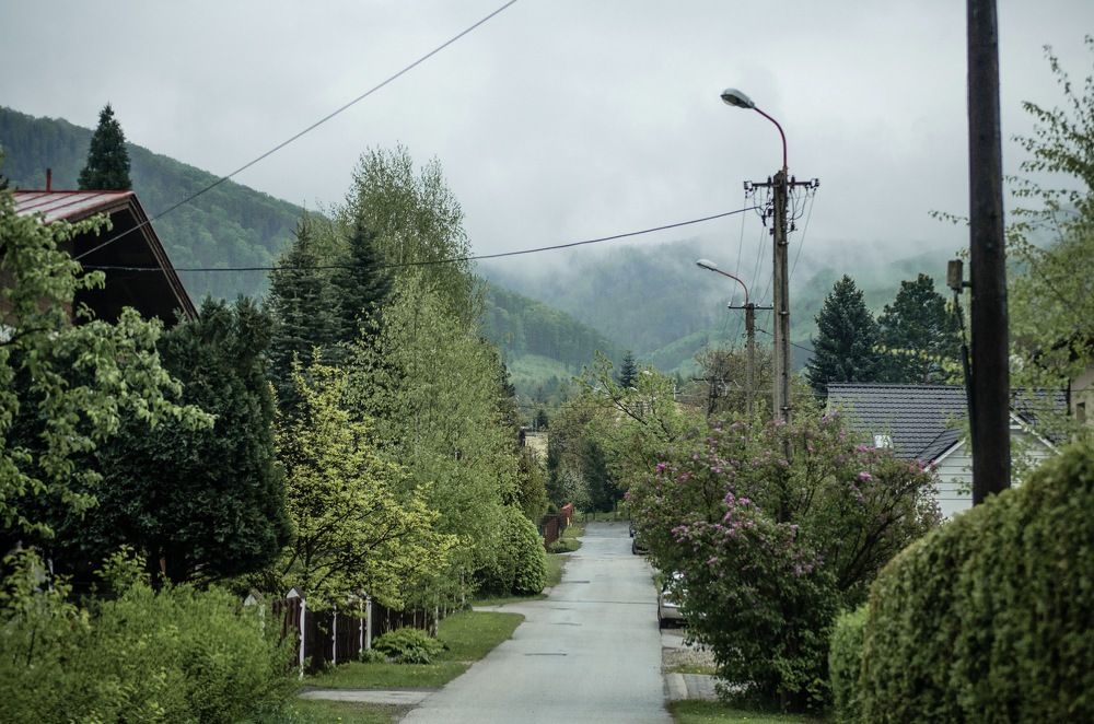 Photograph by Лола Аббасова