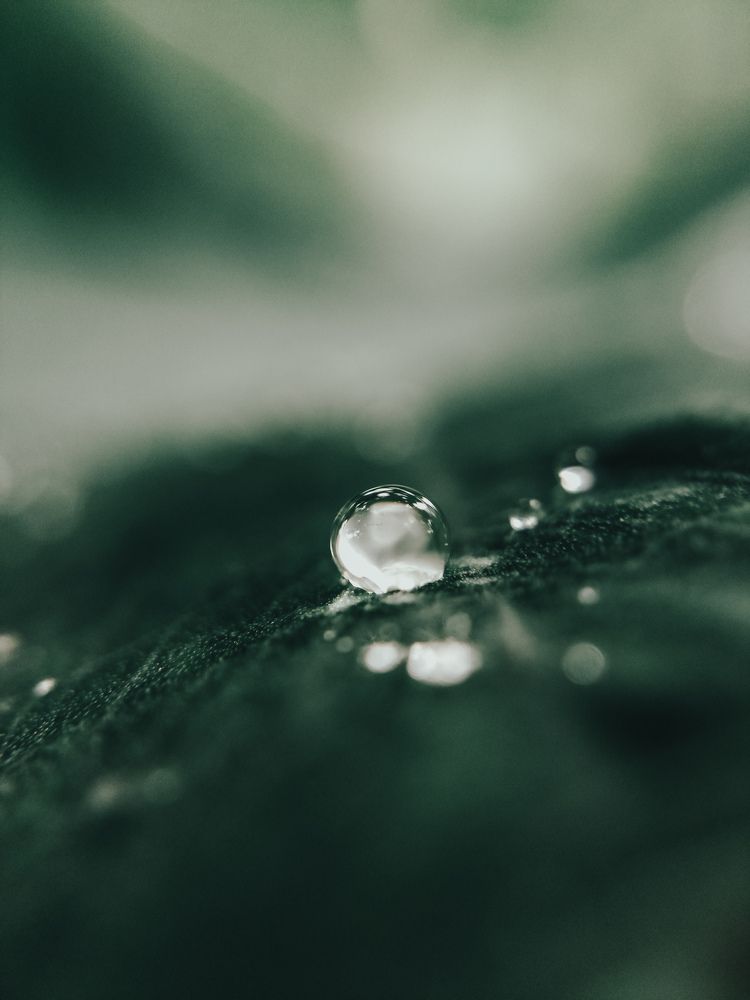 Photograph by Ritu Maheshwari