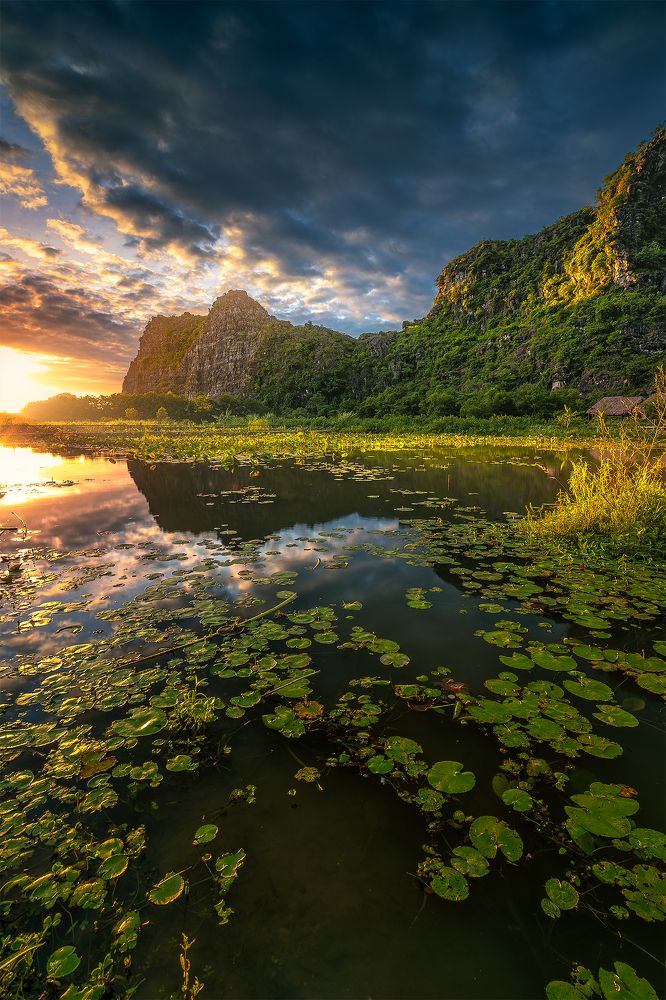 Photograph by Nhat Quang Bui