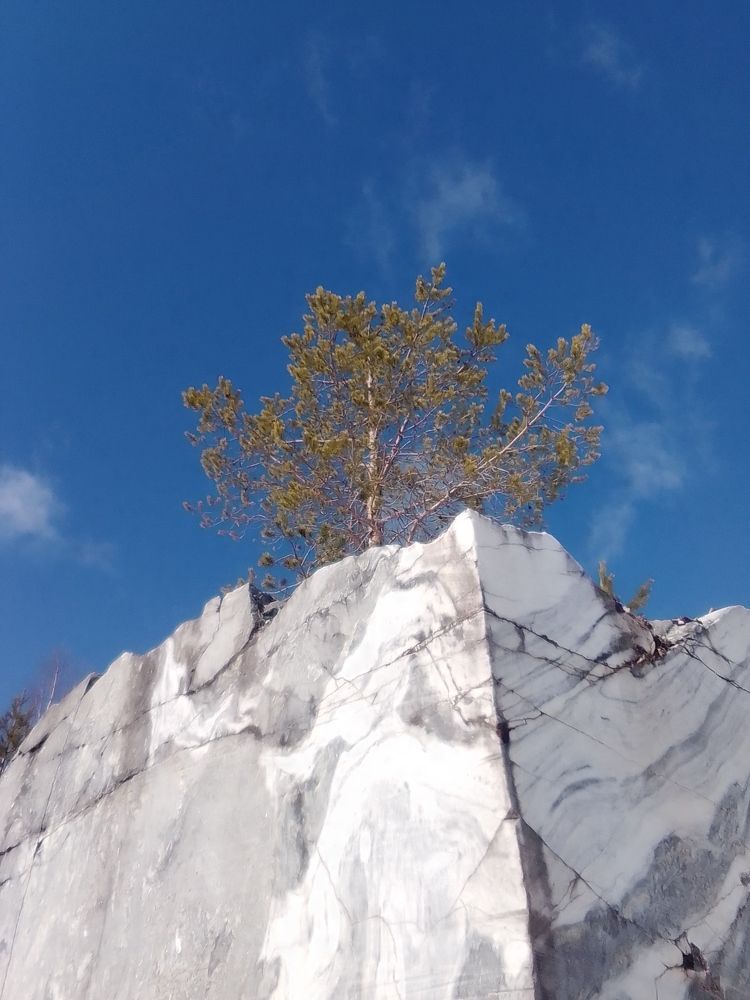 Photograph by Irina Mihailovskaya