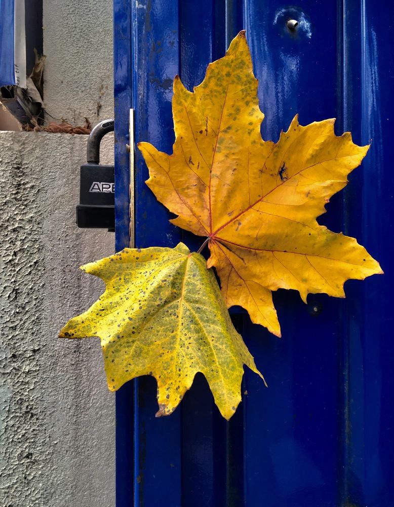 Photograph by Елена Ким