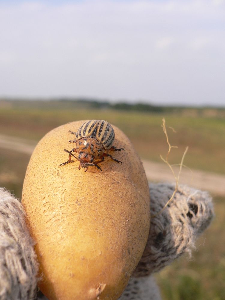 Photograph by Екатерина Хозяшева