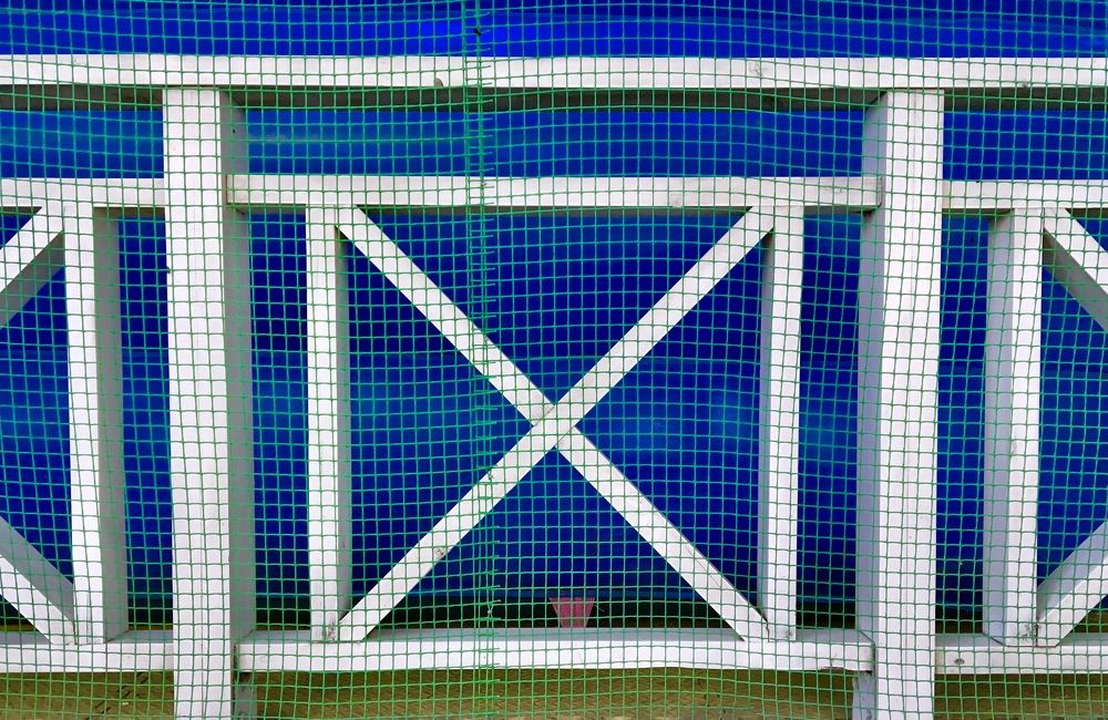 Photograph by Елена Ким