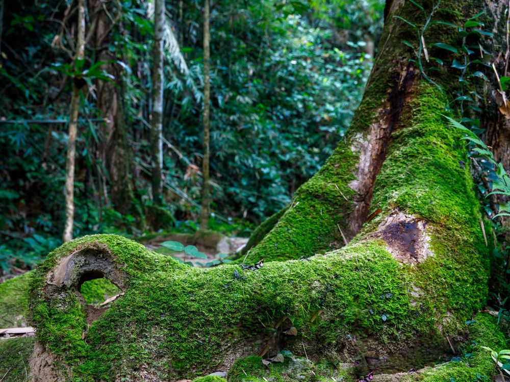 Photograph by Людмила Аксенова