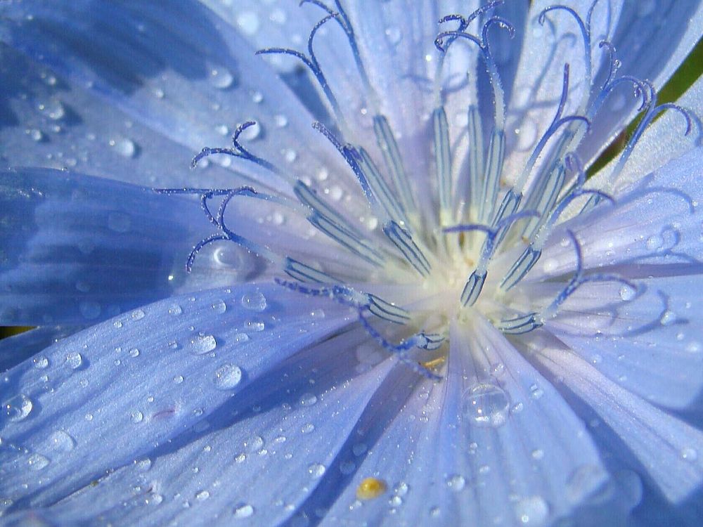 Фотография автора Павел Попов