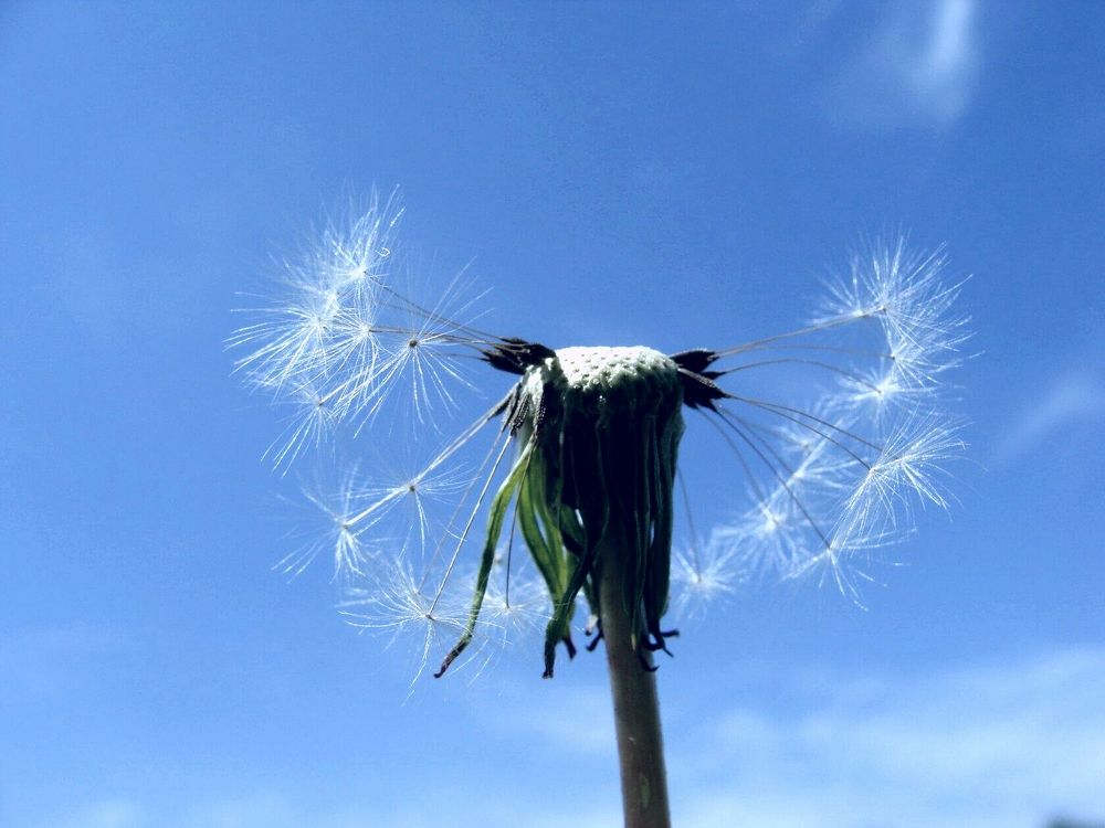 Фотография автора Павел Попов
