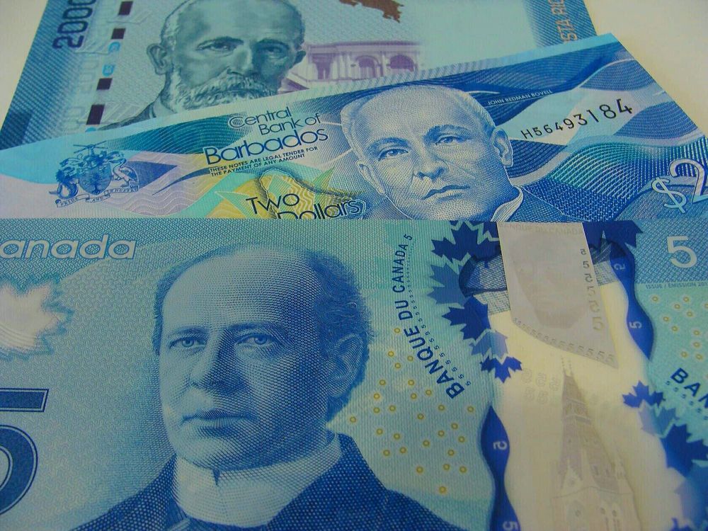 Фотография автора Павел Попов