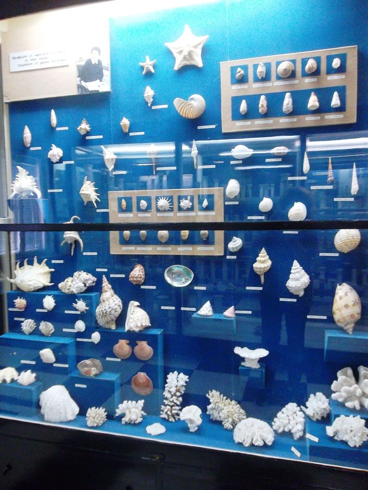 Photograph by Olga Vatkova