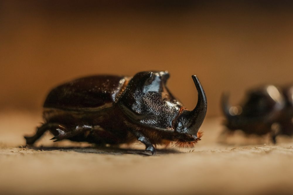 Photograph by Сергей Кравченко