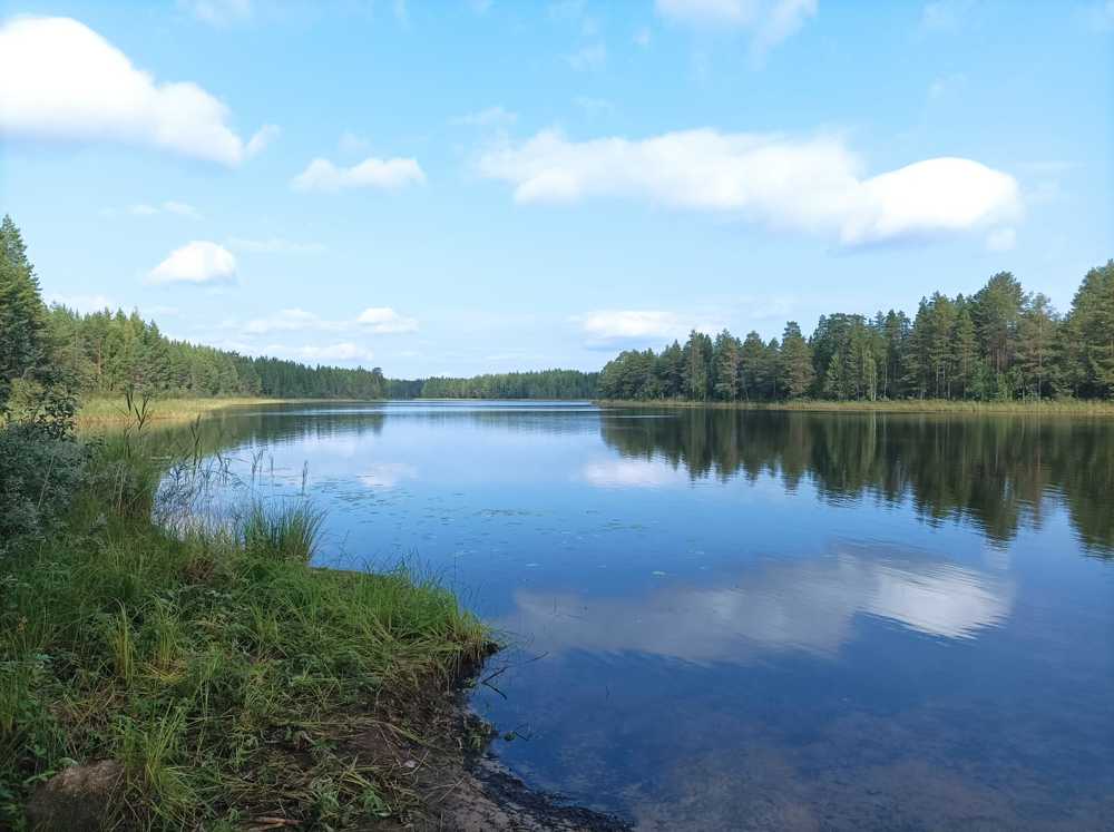 Photograph by Елена