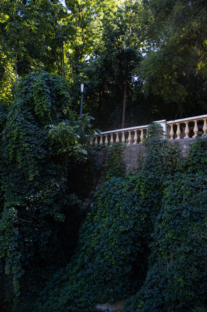 Photograph by Мария Мягкая