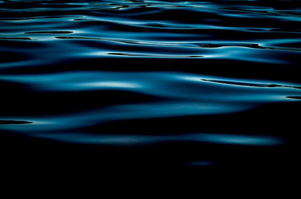 Photograph by Анастасия Чушкова