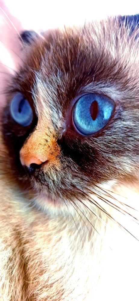 Photograph by Светлана