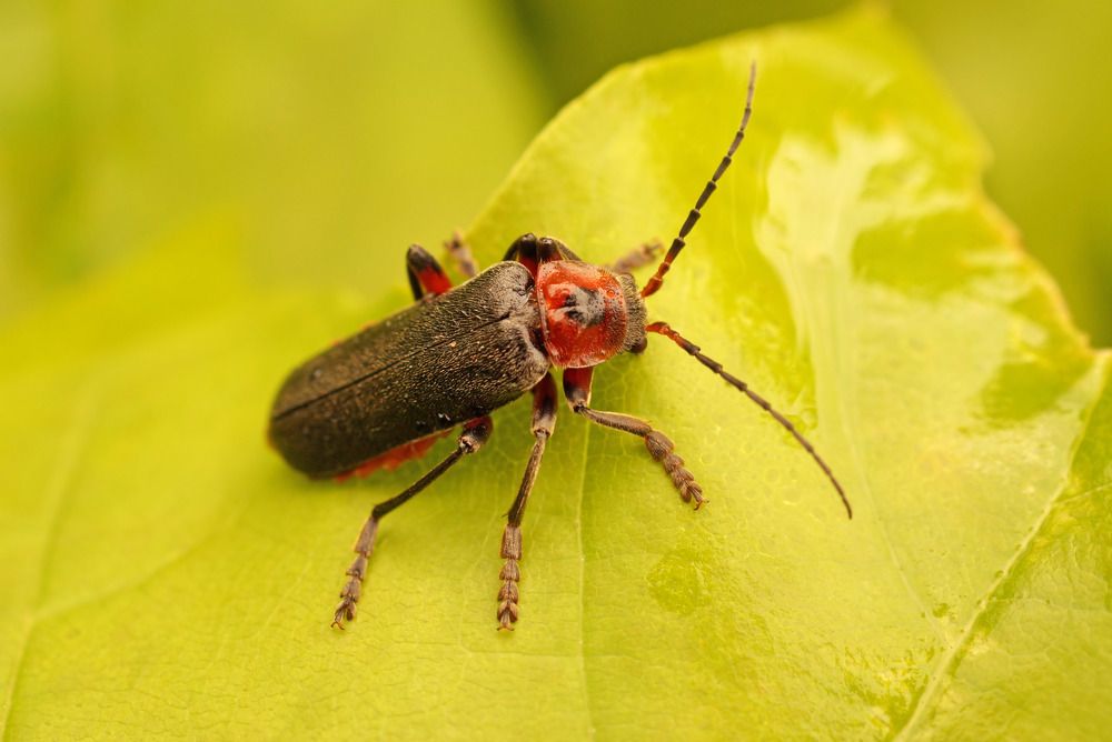 Photograph by Danyliuk Ruslan