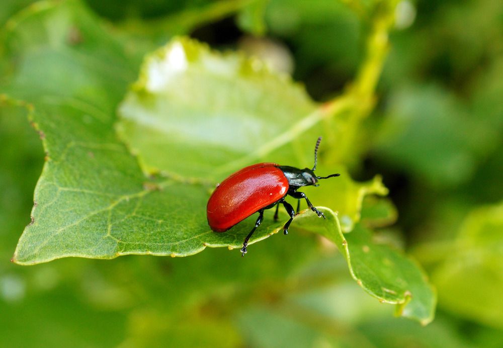 Photograph by Danyliuk Ruslan