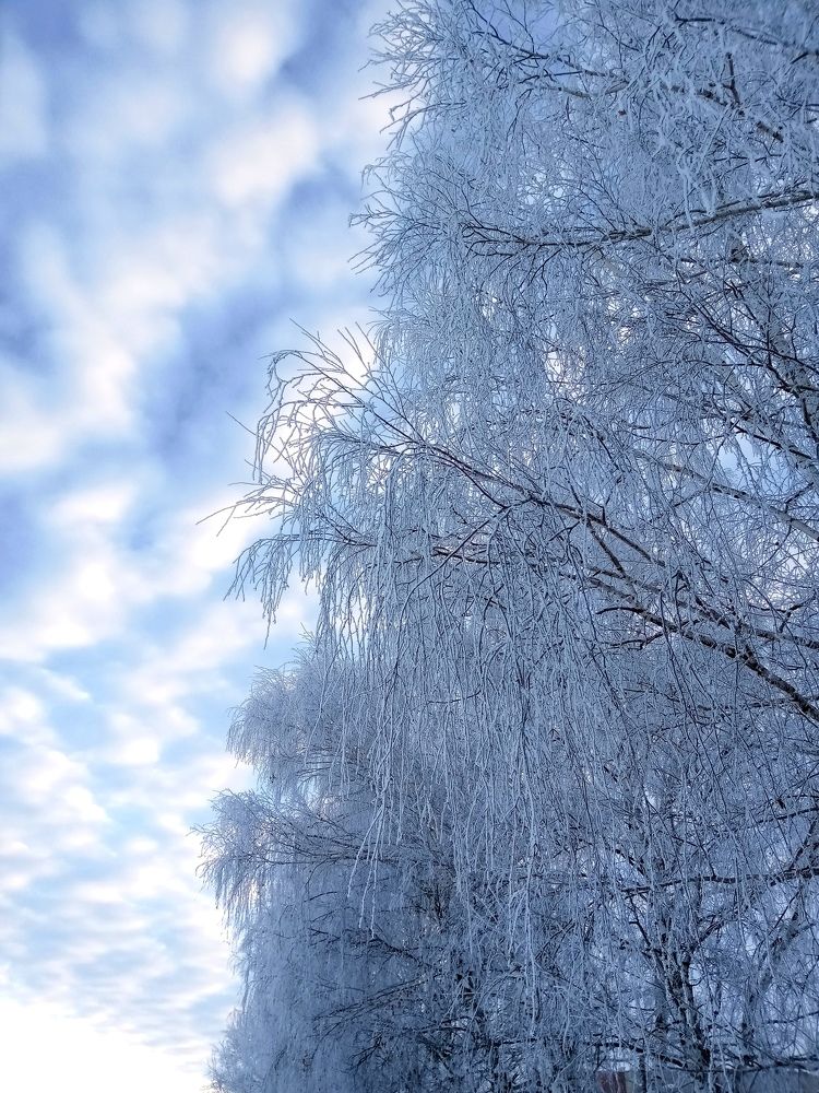 Photograph by Мария Опритова