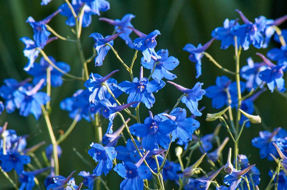 Photograph by Igor Kochkin