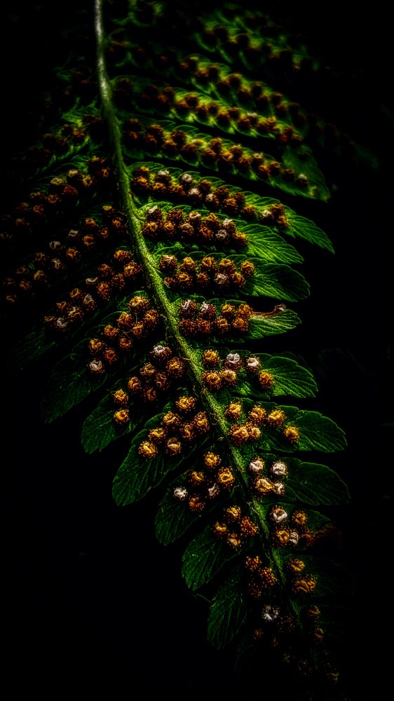 Photograph by Светлана Перминова