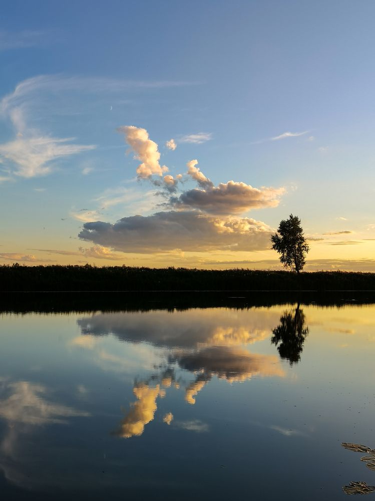 Photograph by Алёна Красова