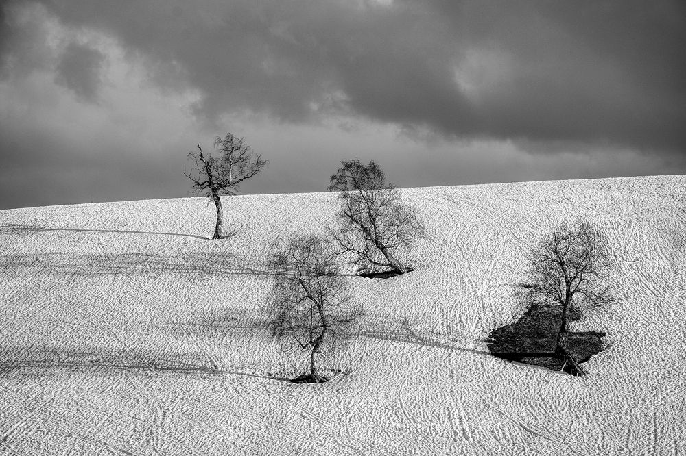 Photograph by Сергей Шварцман