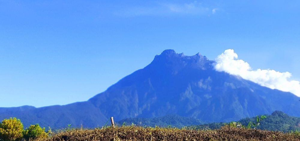 MT. KINABALU