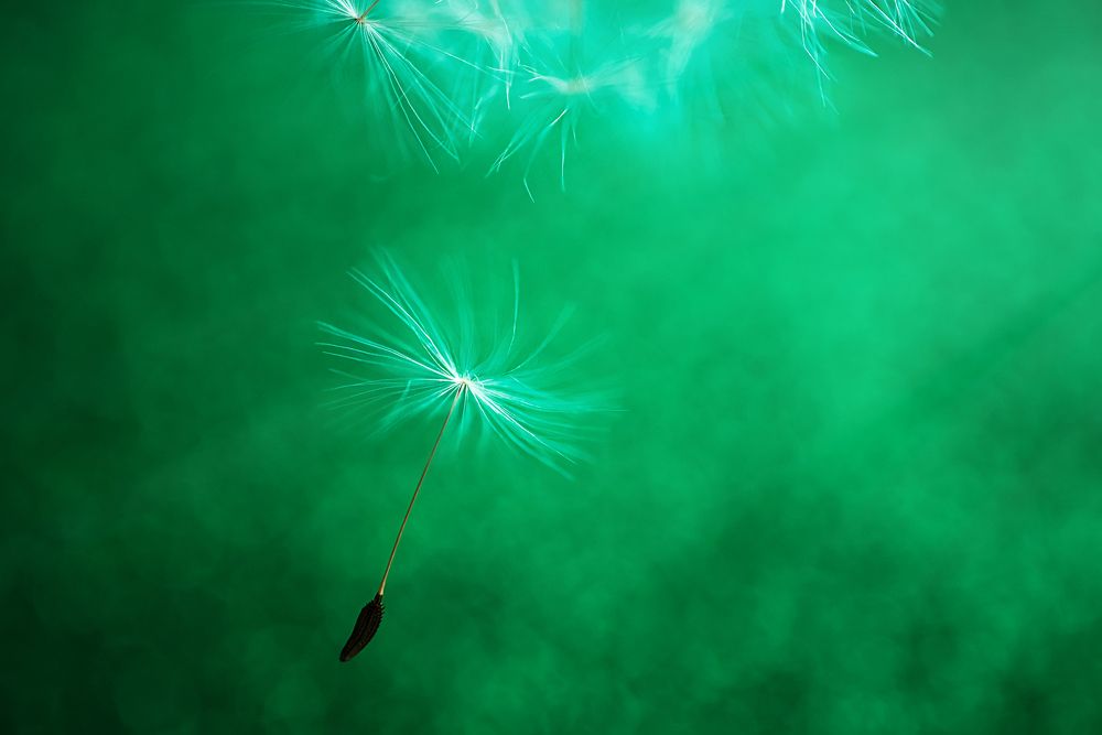 Photograph by Ксения Базарова