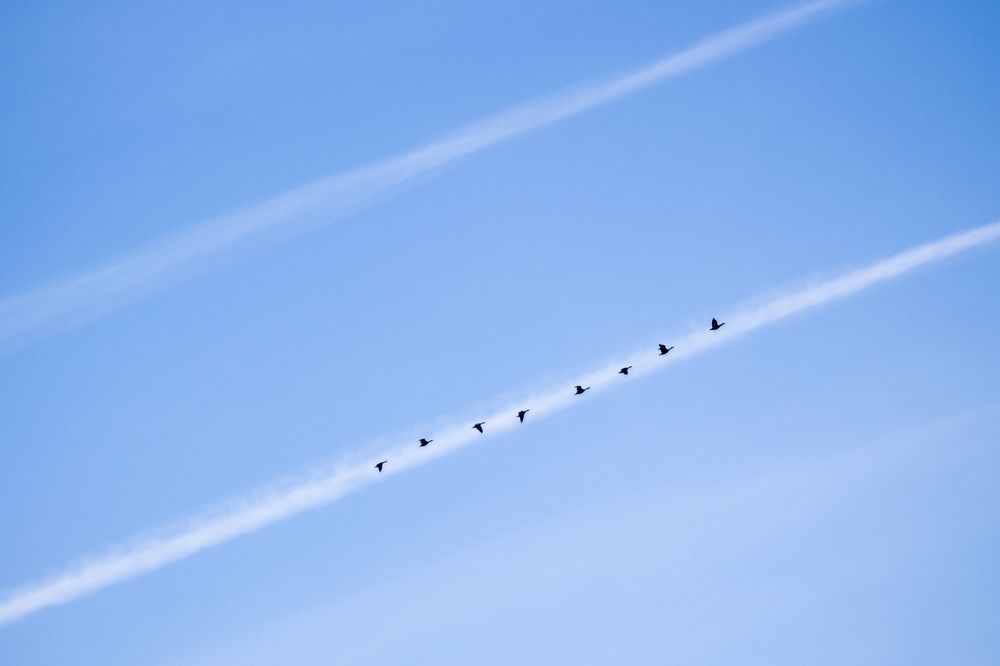 Путь проложен)